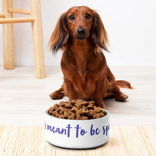 "I was meant to be spoiled!" Pet bowl